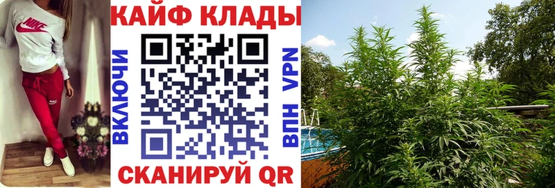 ГАШИШ Шуя