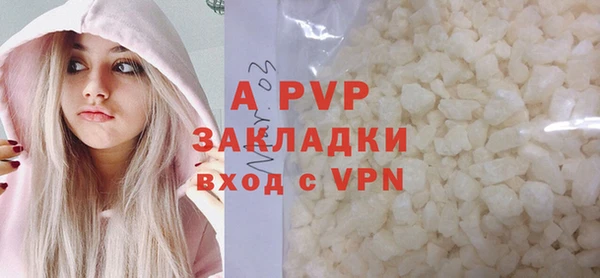 прущие грибы Козельск