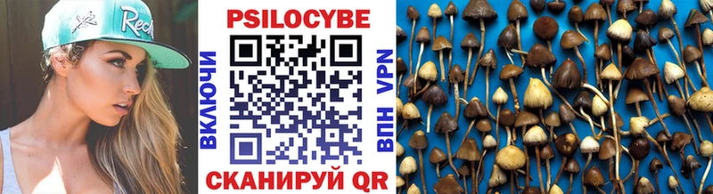 omg рабочий сайт  Шуя  Псилоцибиновые грибы Cubensis 