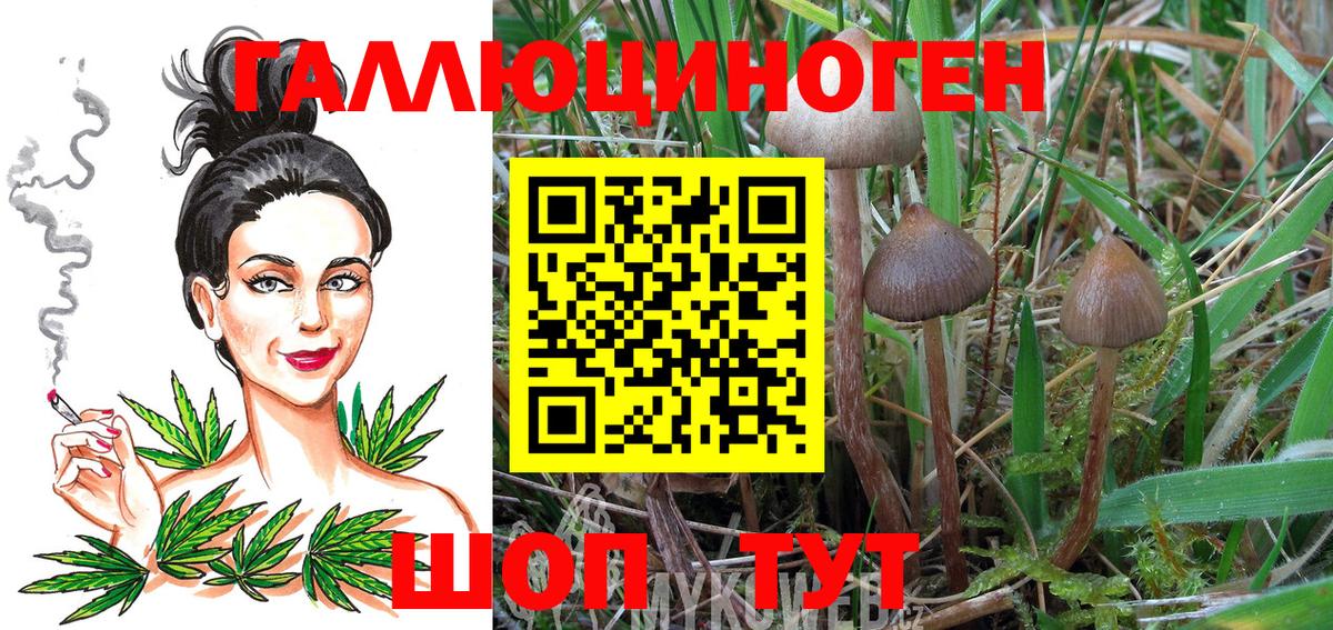 Шуя  Галлюциногенные грибы мухоморы  Галлюциногенные грибы GOLDEN TEACHER  купить наркотик  Вход с VPN 