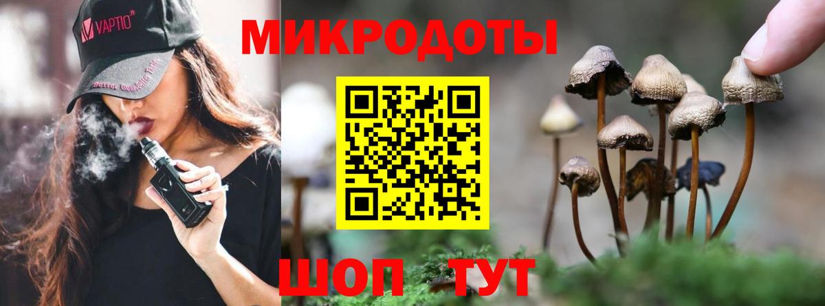 Галлюциногенные грибы Cubensis Шуя